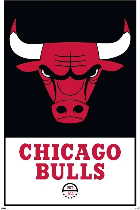 Washington Wizards vs. Chicago Bulls